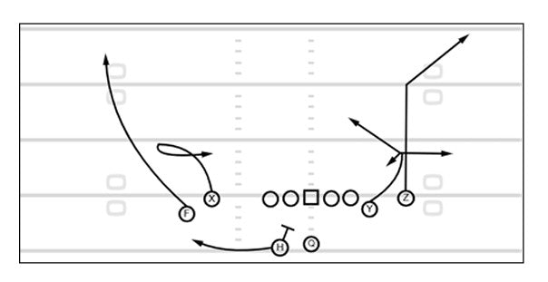 The 2024 Choice Manual